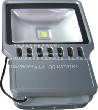 大功率LED100瓦綠色照樹(shù)泛光燈圖片