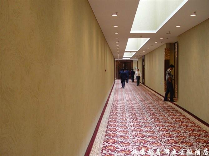 山東青島硅藻泥加盟圖片