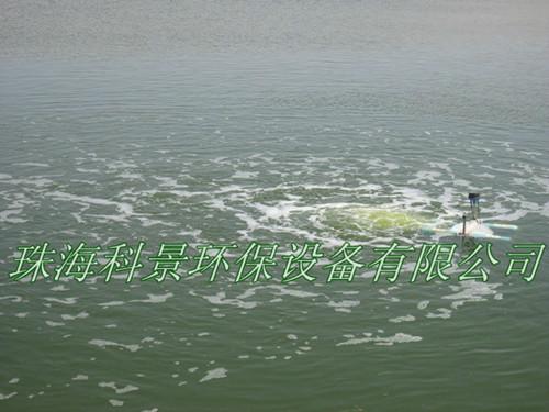 供應(yīng)園林景觀水處理設(shè)備曝氣機(jī)