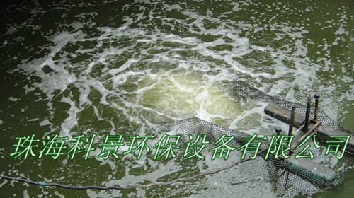 供應(yīng)湖北污水處理推流曝氣機