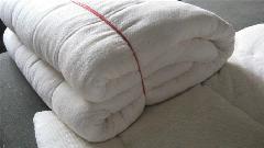 廣西南寧圖片/廣西南寧樣板圖 (3)