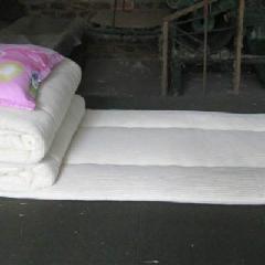 廣西南寧圖片/廣西南寧樣板圖 (4)