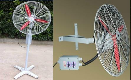 FB500防爆搖頭扇圖片