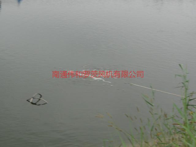 供應(yīng)水產(chǎn)養(yǎng)殖風(fēng)機(jī)