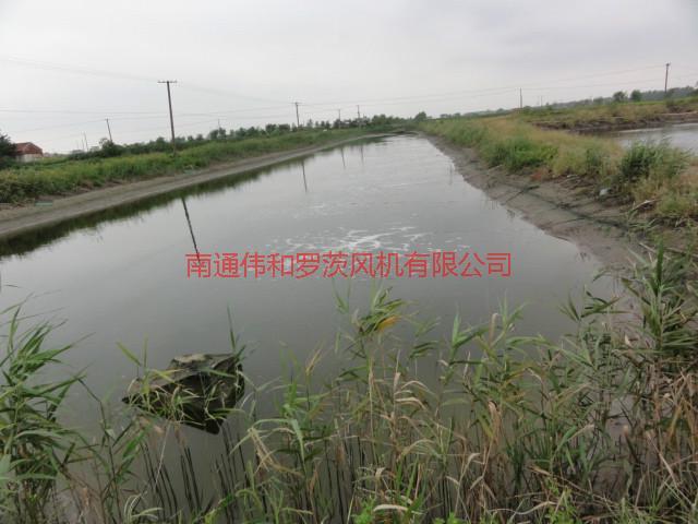 供應(yīng)水產(chǎn)養(yǎng)殖風(fēng)機(jī)