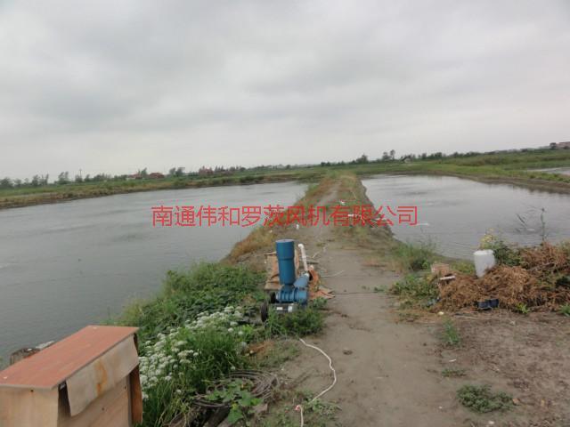 供應(yīng)水產(chǎn)養(yǎng)殖風(fēng)機(jī)