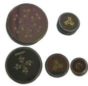 濺射薄膜壓力傳感器芯體、經(jīng)濟(jì)型壓力芯體、低成本、廠家直銷(xiāo)