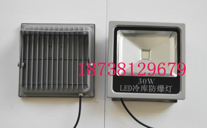 冷庫專用燈具圖片/冷庫專用燈具樣板圖 (2)