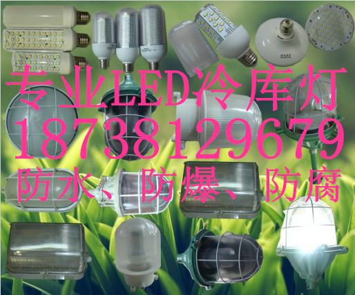 供應(yīng)家明超高亮led冷庫防爆燈