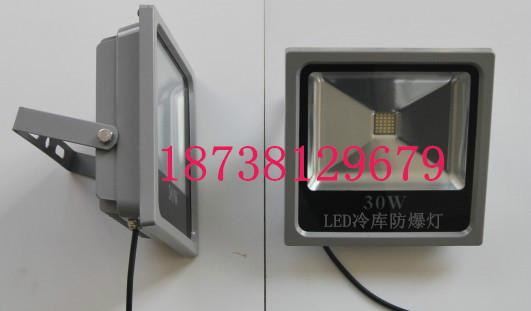 供應(yīng)上海專業(yè)冷庫(kù)led防爆燈