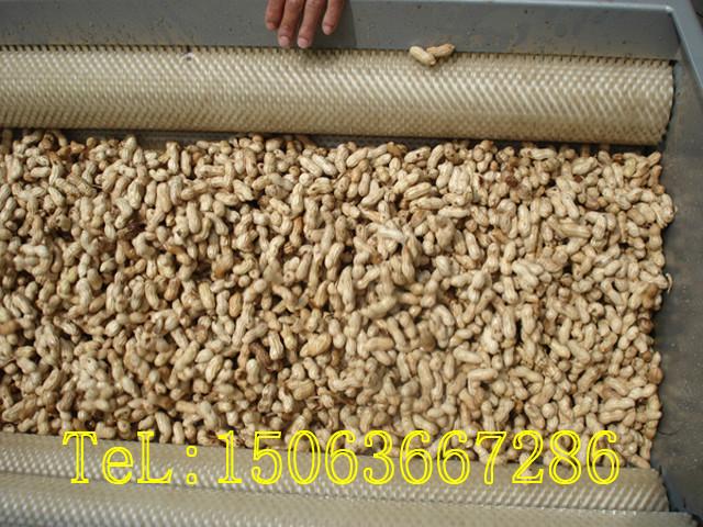 花生清洗機圖片