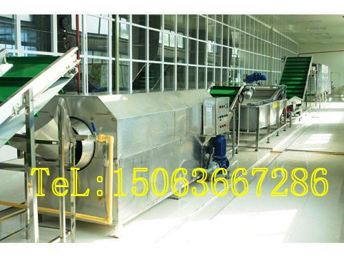 供應(yīng)果蔬清洗線