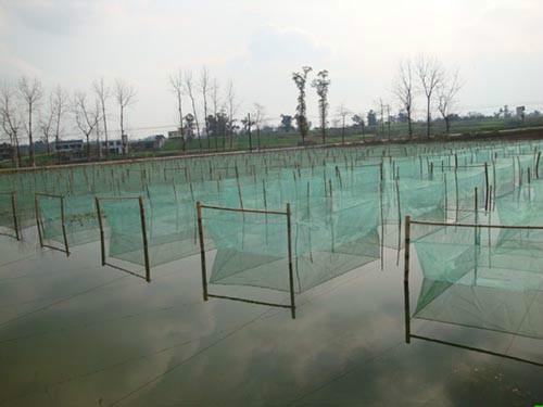 山東0.35養(yǎng)殖膜廠家 *價0.35水產(chǎn)養(yǎng)殖地膜0.4藕池*膜