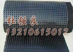 供應(yīng)0.35水產(chǎn)養(yǎng)殖*膜 土工膜防滲膜廠家