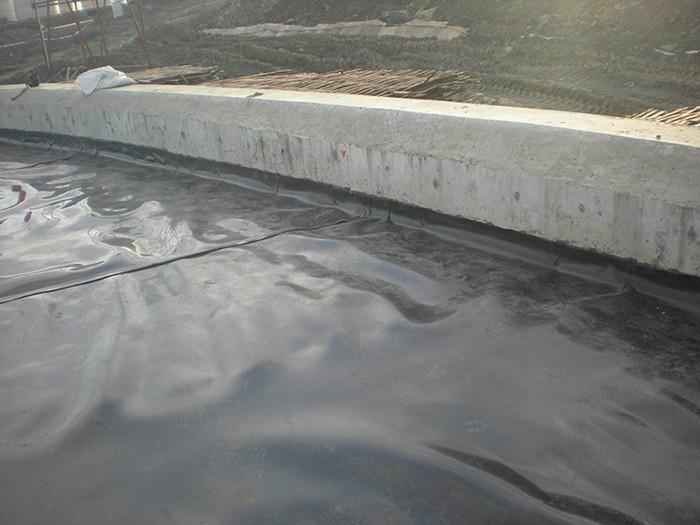 供應山東藕池*膜廠家直銷 加厚水產(chǎn)養(yǎng)殖膜 全新料養(yǎng)殖地膜3元批發(fā)