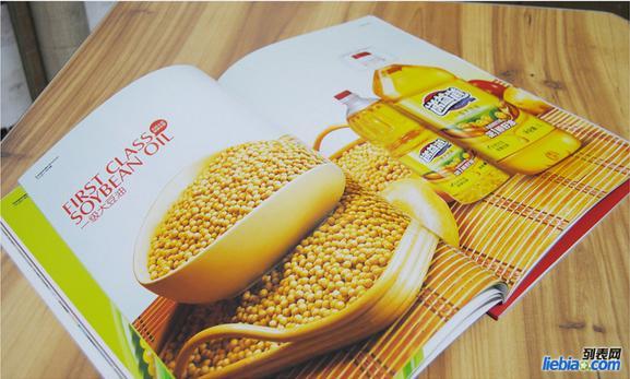 畫冊(cè)設(shè)計(jì)圖片/畫冊(cè)設(shè)計(jì)樣板圖 (2)