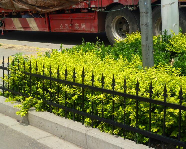 供應(yīng)河南鐵藝花壇護(hù)欄鐵藝花壇護(hù)欄道路花壇護(hù)欄