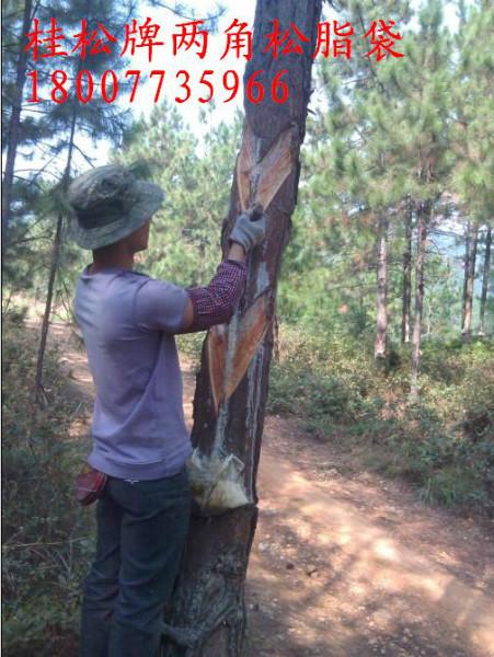 供應(yīng)廣西*袋采脂接油片