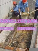 供應(yīng)北侖保稅區(qū)化糞池抽糞【保稅東區(qū)、西區(qū)、南區(qū)專(zhuān)業(yè)改造化糞池】