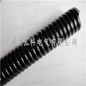 供應(yīng)不銹鋼波浪包塑軟管價(jià)格