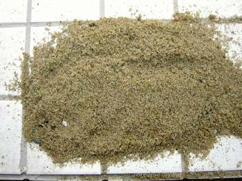 跑馬場(chǎng)圖片/跑馬場(chǎng)樣板圖 (3)