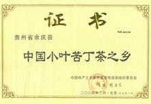 供應(yīng)苦丁茶栽培技術(shù)