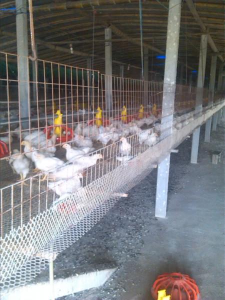 供應遼寧水線料線設備   遼寧料線水線安裝   遼寧全自動料線水線設備  遼寧全自動水線料線   遼寧全套喂料系統(tǒng)