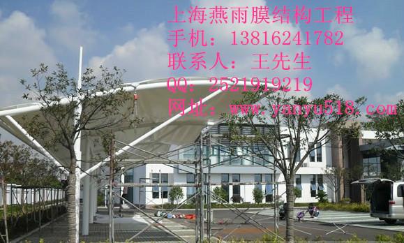 戶外遮陽傘圖片/戶外遮陽傘樣板圖 (2)