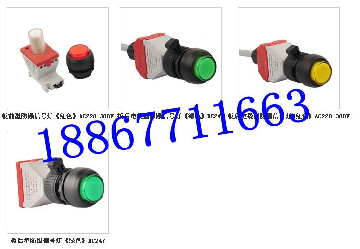 CH0812板前型防爆带灯按钮图片