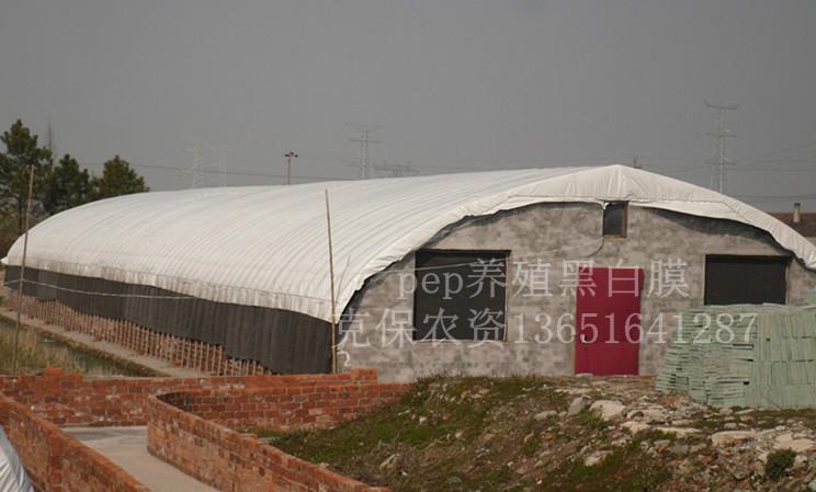 供應(yīng)養(yǎng)殖大棚黑白膜聯(lián)系方式