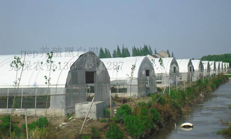 供應雞鴨養(yǎng)殖*膜