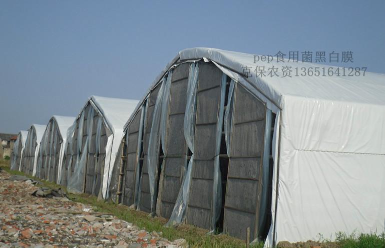 供應(yīng)食用菌黑白膜