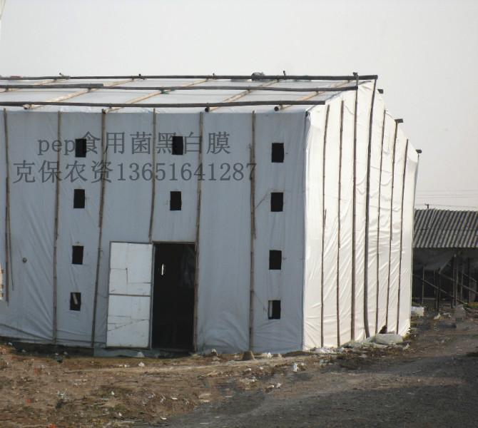 供應(yīng)食用菌黑白膜