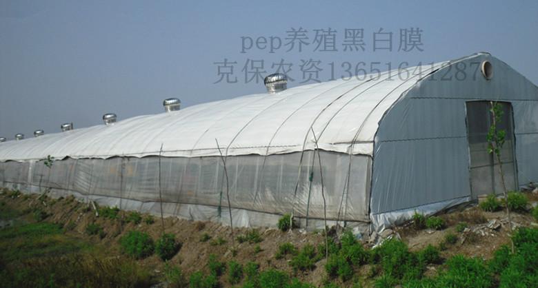 供應(yīng)上海雞鴨養(yǎng)殖*膜供貨商