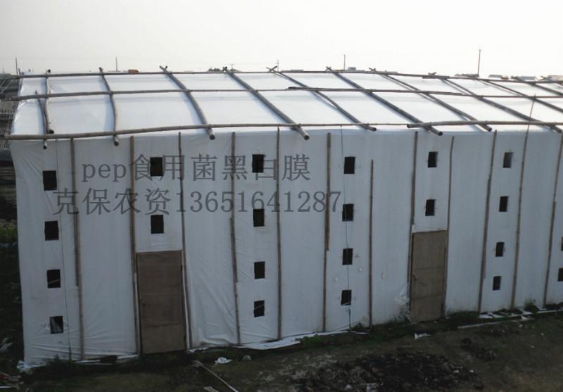 供應(yīng)食用菌黑白膜生產(chǎn)廠家電話，食用菌黑白膜生產(chǎn)廠家直銷