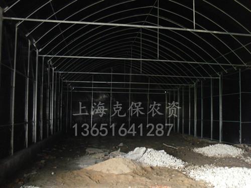 供應食用菌大棚遮陰黑白膜