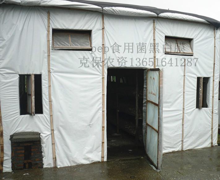 供應食用菌黑白膜批發(fā)價格量大價優(yōu)！