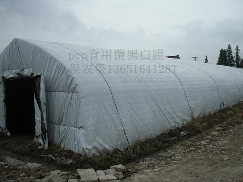 供應(yīng)食用菌黑白膜*惠質(zhì)量有保障