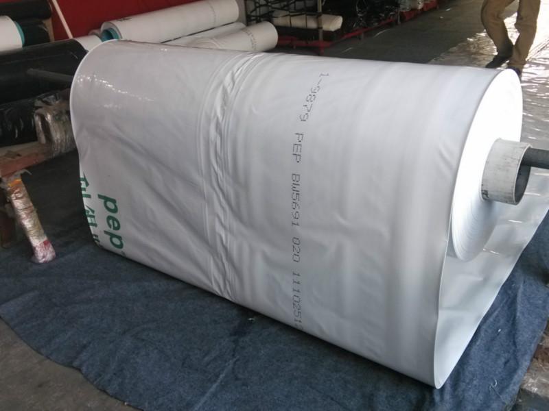 供應(yīng)養(yǎng)豬舍黑白膜