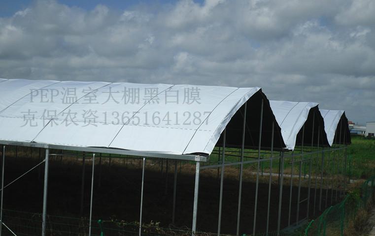 供應(yīng)專業(yè)生產(chǎn)希臘進(jìn)口黑白膜，專業(yè)生產(chǎn)希臘進(jìn)口黑白膜公司