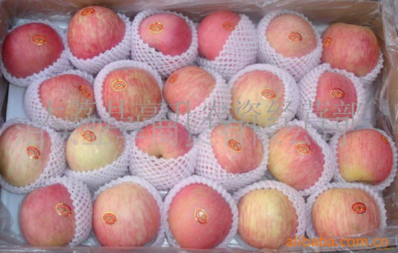 陜西紅富士蘋果價(jià)格