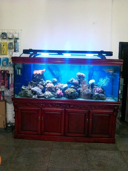 哪里有生態(tài)圖片/哪里有生態(tài)樣板圖 (3)