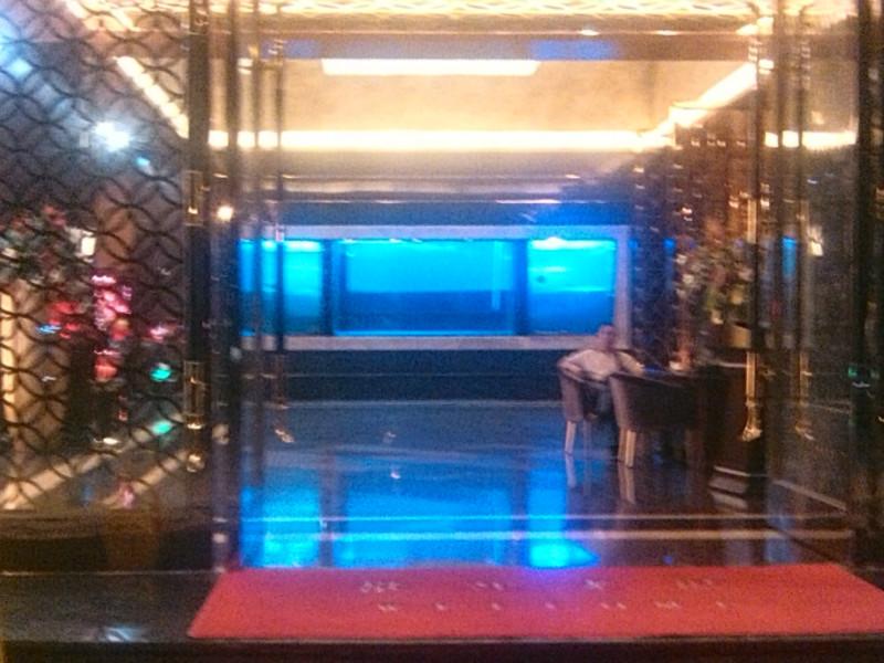 供應(yīng)廣州哪里有訂做觀賞魚(yú)缸 訂做觀賞魚(yú)缸廠家直銷