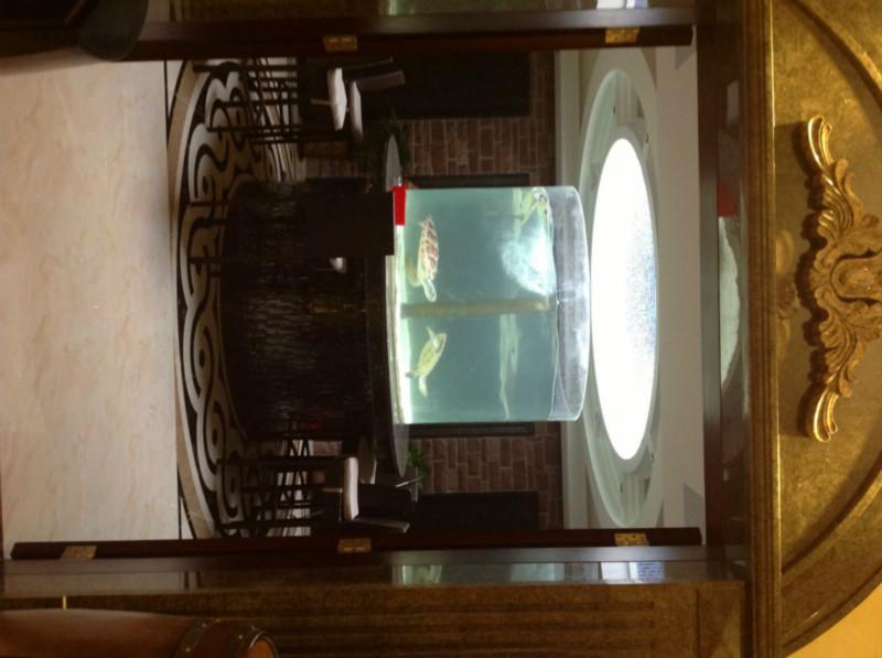 圓柱魚缸圖片/圓柱魚缸樣板圖 (2)