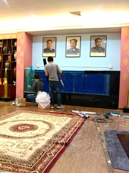 供應(yīng)廣州哪里有訂做觀賞魚(yú)缸 訂做觀賞魚(yú)缸廠家直銷