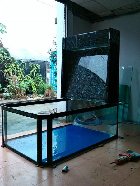 供應(yīng)廣州海水淡水缸廠家訂做 廣哪里有海水淡水缸訂做廠家