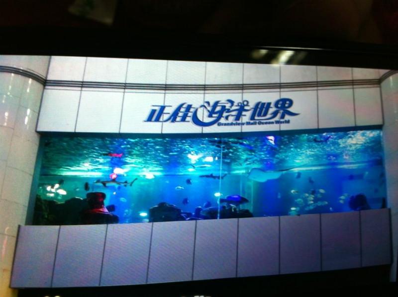 供應(yīng)異型魚缸工廠   新款魚缸設(shè)計生產(chǎn)  異型魚缸生產(chǎn)廠家