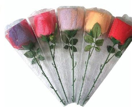 供應(yīng)塑料保護(hù)網(wǎng)套玫瑰保護(hù)網(wǎng)套石家莊博聯(lián)塑料網(wǎng)套廠批發(fā)