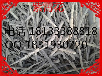 供應(yīng)白術(shù)苗