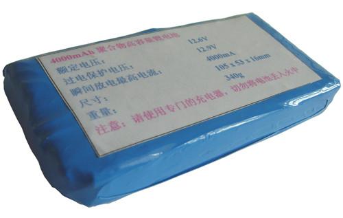 供應鋰電池便攜式的12V電池